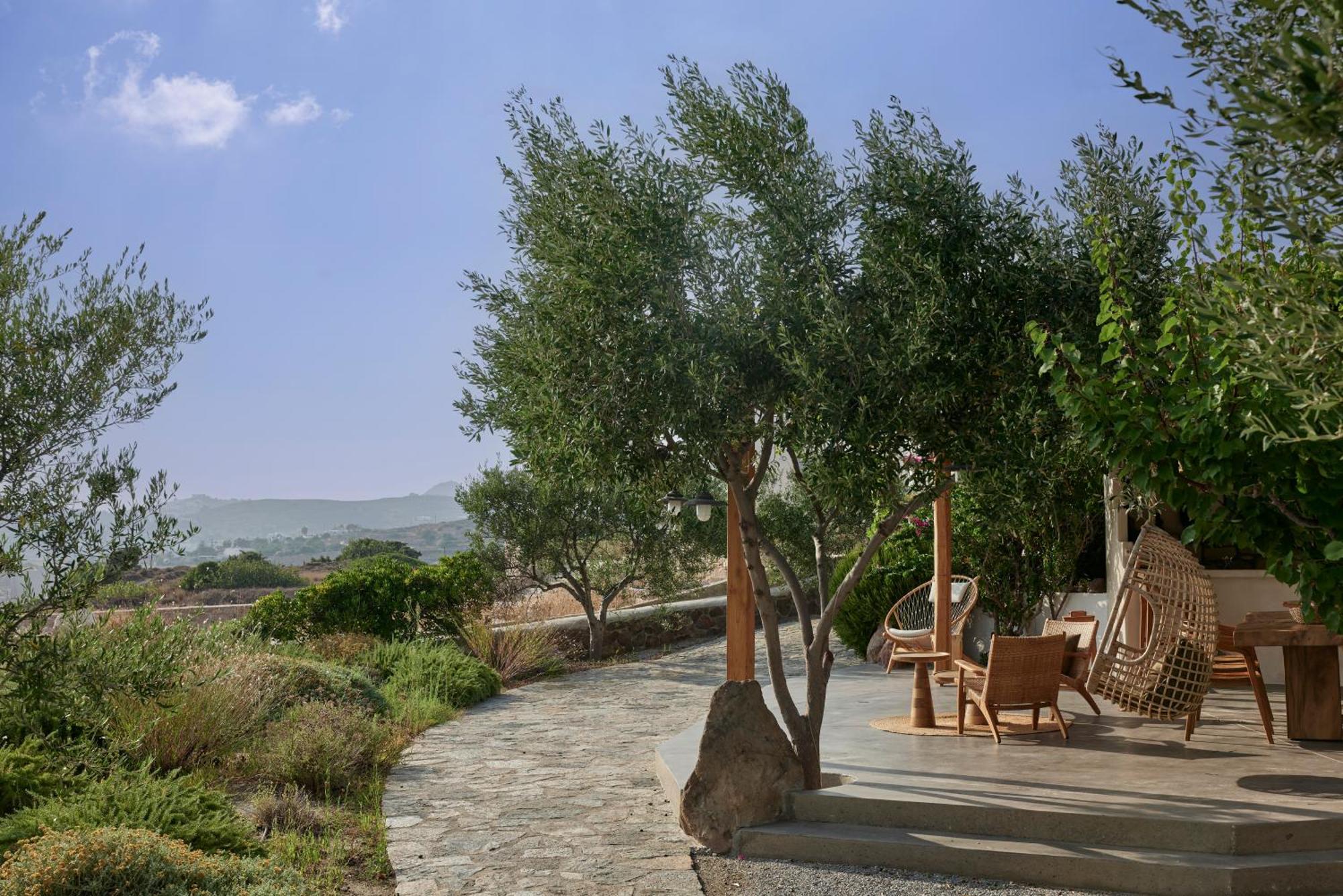 דירות אדאמאס Iliana Olive Branch מראה חיצוני תמונה